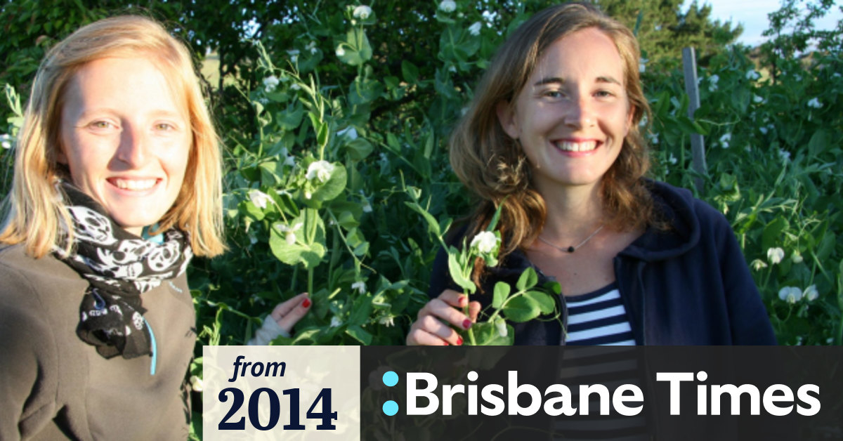 Edible spring flowers for Canberra gardens